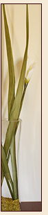 Appartement-5
